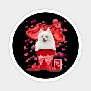 White Pomeranian In Red Pot Happy Valentine's Day Magnet